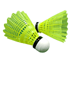 Shuttlecock ACE-200