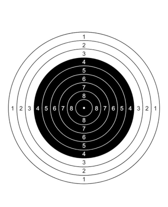 Target Air Rifle-(100 Pcs)